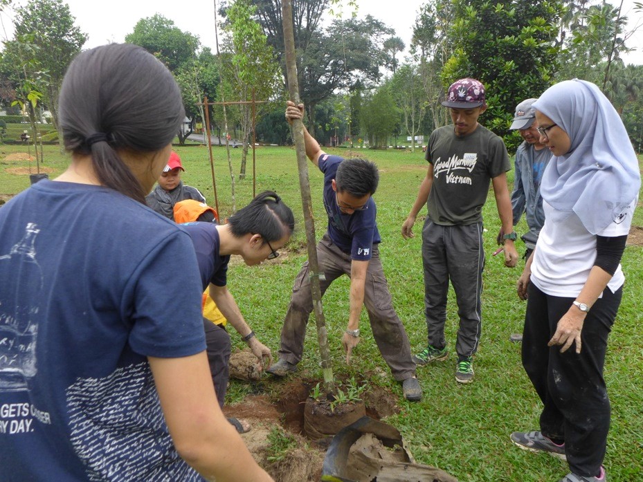 The RIMBA Project
