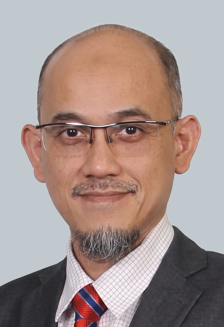 DATO' PROFESSOR IR. DR. MOHAMMED RAFIQ BIN DATO' ABDUL KADIR